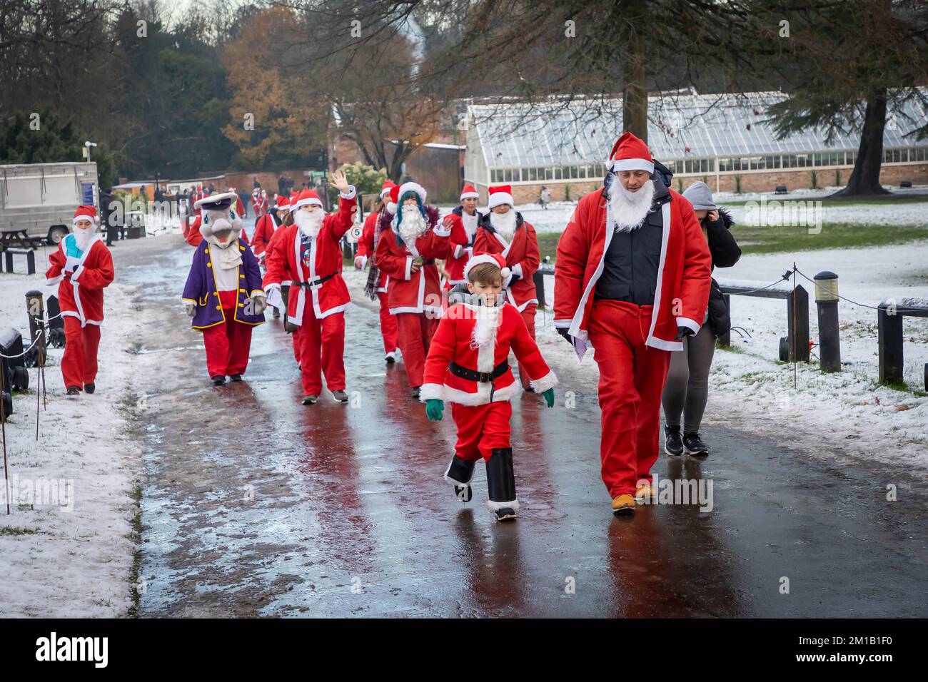 Walton Hall and Gardens, Warrington, Cheshire, England - Sunday 11 December 2022 - Warrington Disability Partnership held its second 3K Santa Dash around Walton Gardens on a slippy, snow covered circuit. Over 100 Santas took part raising money for the charity Credit: John Hopkins/Alamy Live News Stock Photo