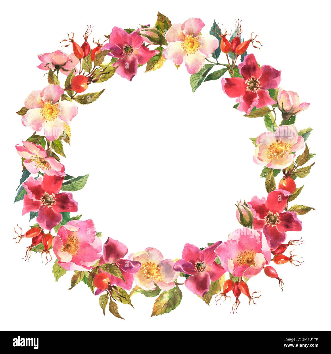 Watercolor rose hip wreath. Flowers, leaves and fruits of wild roses