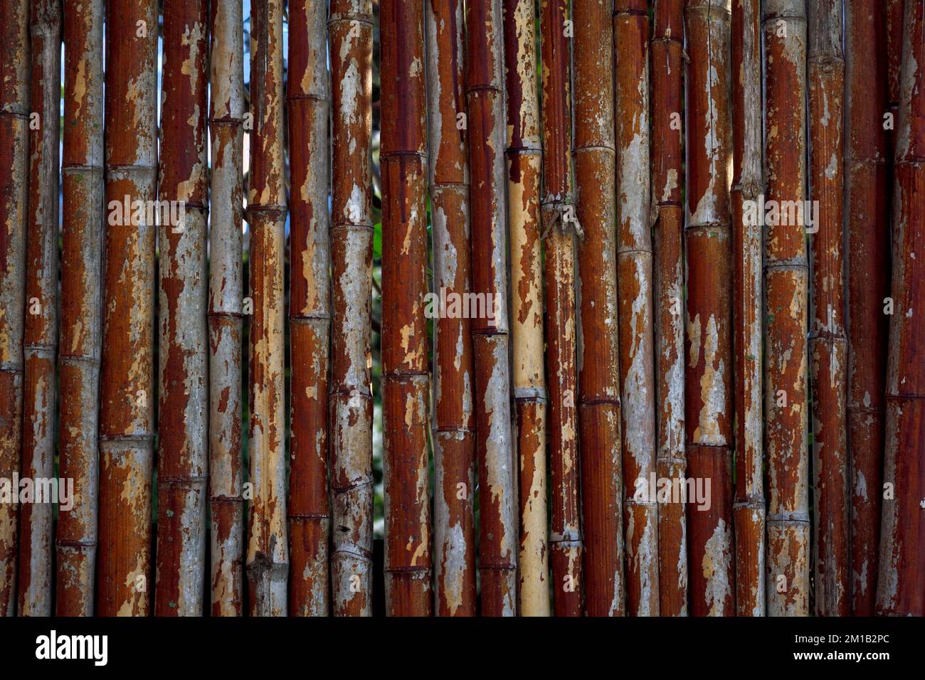 Bamboo wallpaper pattern hi-res stock photography and images - Alamy