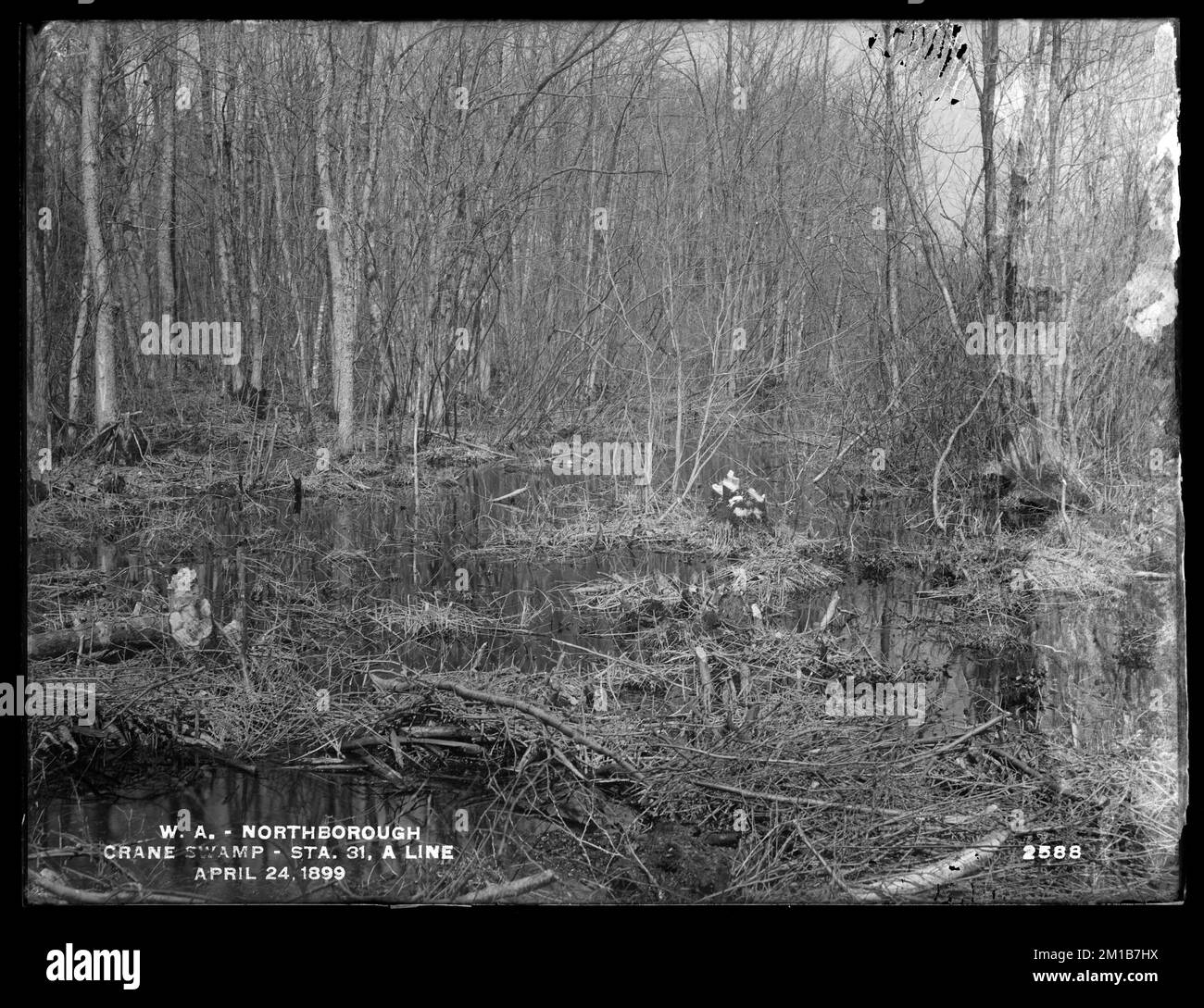 Swamp Structures Wachusett Aqueduct, Crane Swamp before improvement, station 31, A Line ...