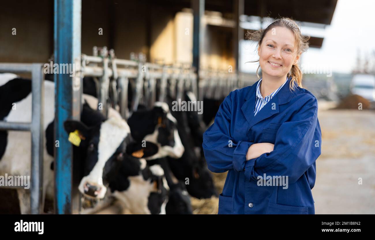 Farmer engaged in breeding of cows posing in cowshed Stock Photo - Alamy