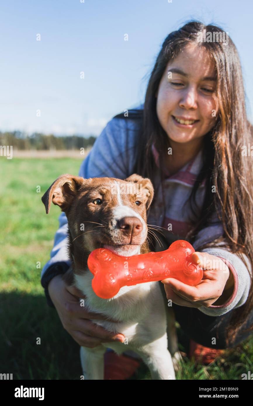 Close up young woman playing with her puppy and enjoying the moment with a dog bone toy. Stock Photo