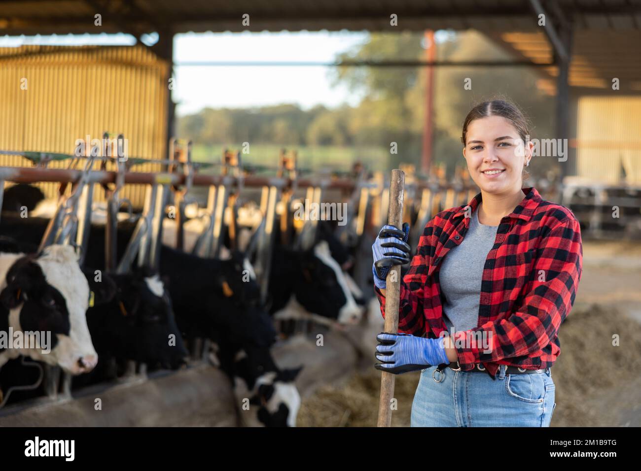 Portrait of positive woman farmer in cowshed Stock Photo - Alamy