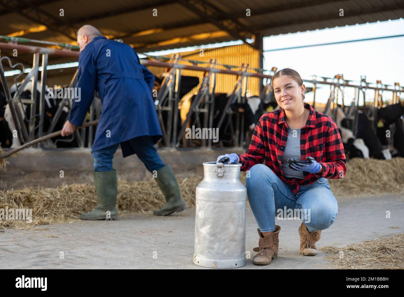 Successful girl farmer posing with milk can near stall with cows Stock ...
