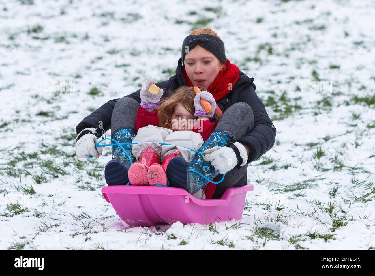 Chippenham, Wiltshire, UK, 11th Dec, 2022. As Chippenham residents wake up to their first snow of the year, a woman and a young child who is holding a carrot and a custard cream biscuit  are pictured in a local park in Chippenham as they slide down a hill on a sledge. Credit: Lynchpics/Alamy Live News Stock Photo