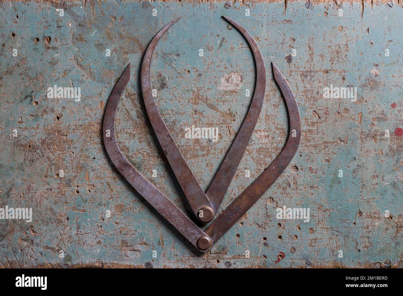 Metal woodworking compasses flat lay on a rustic suface shaped like a tulip top view Stock Photo