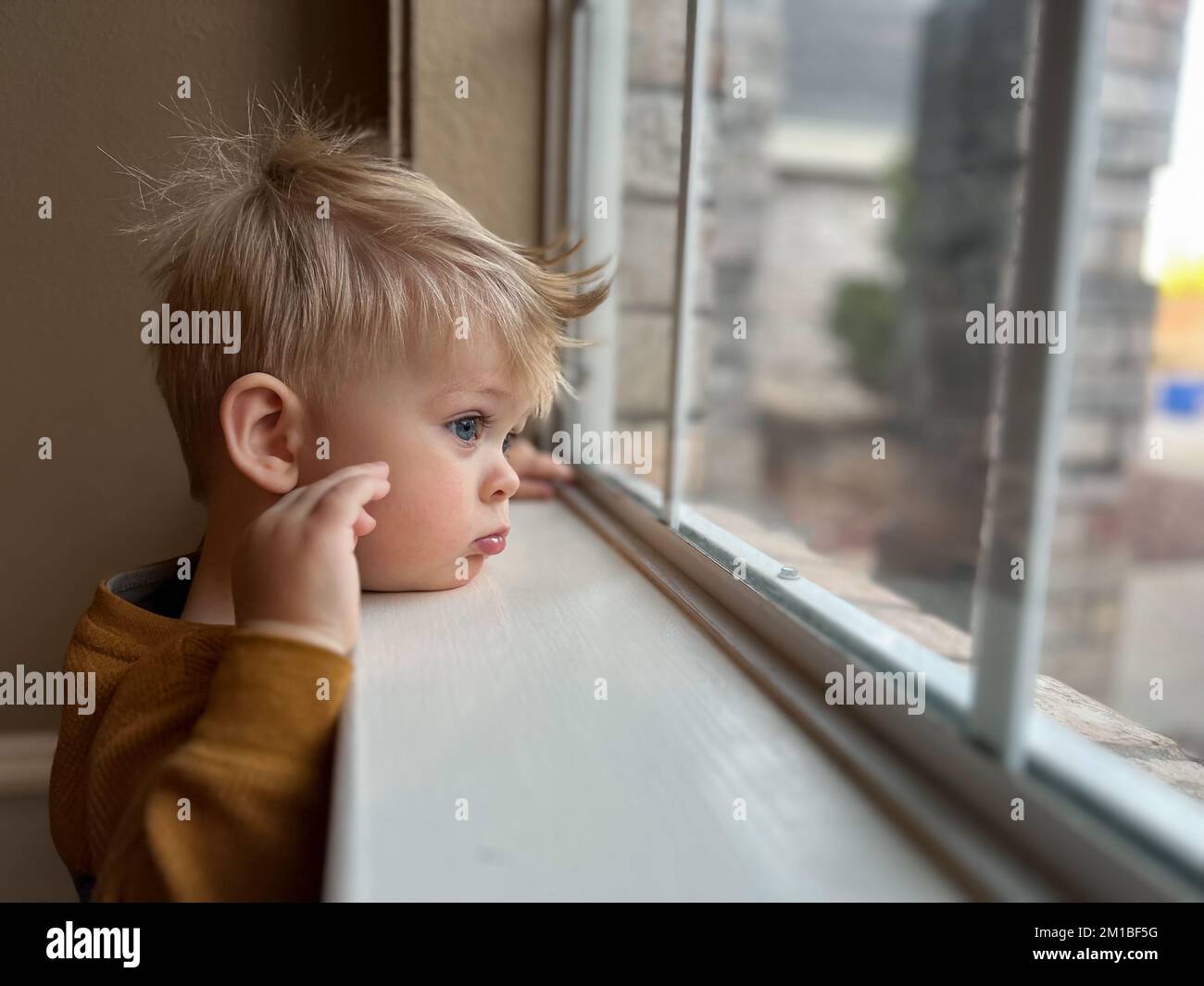 Cute little toddler looking at the window at home, close up portrait  Stock Photo