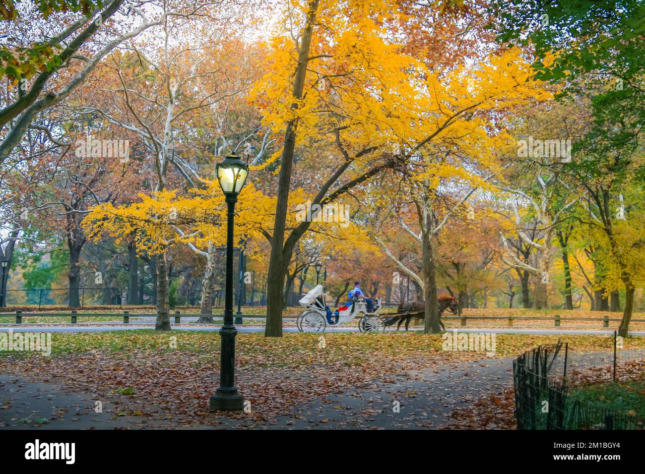 Horse drawn Carriage and Central Park in New York City at golden autumn ...