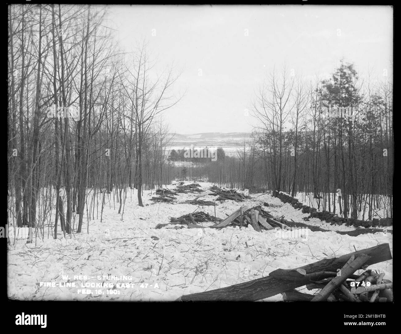 Line structures Black and White Stock Photos & Images - Alamy