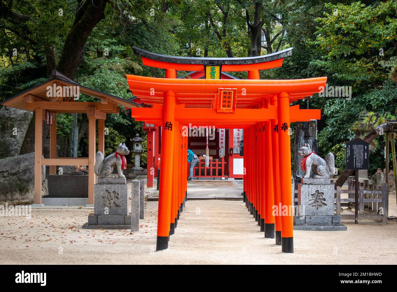 A set of orange gates and fox statues at Sumiyoshijinja (the Japanese Shinto shrine) in