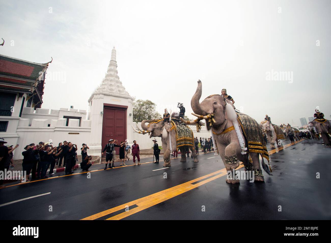 Thailand royal reverence hi-res stock photography and images - Alamy