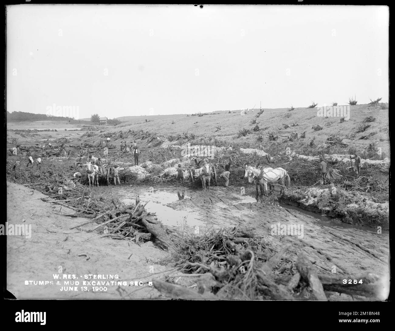 Wachusett Reservoir, stumps and muck excavation, Section 5, Sterling