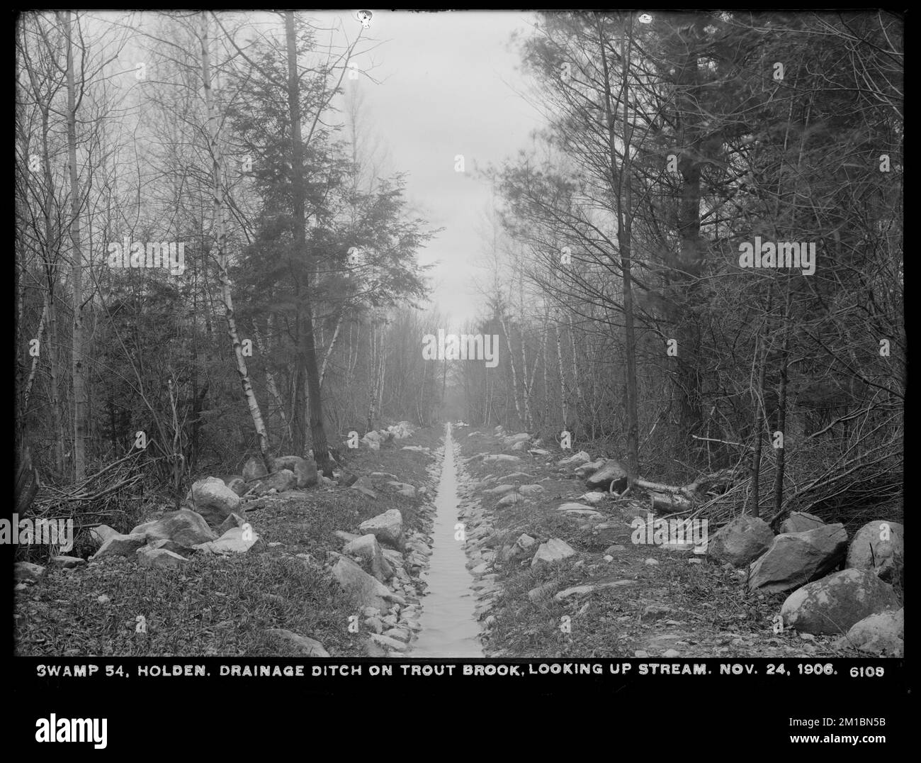 Wachusett Reservoir, Swamp No. 54, drainage ditch, on Trout Brook