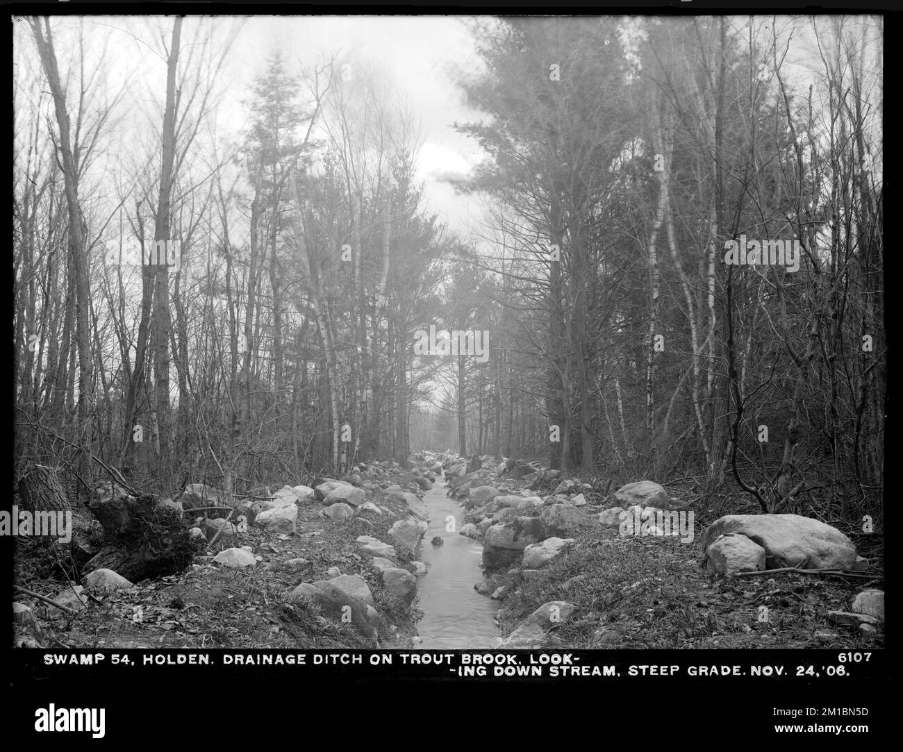 Wachusett Reservoir, Swamp No. 54, drainage ditch, on Trout Brook