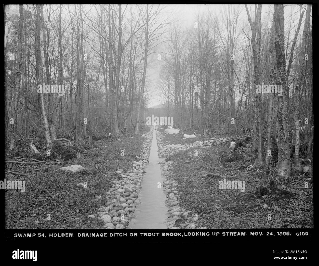 Wachusett Reservoir, Swamp No. 54, drainage ditch, on Trout Brook