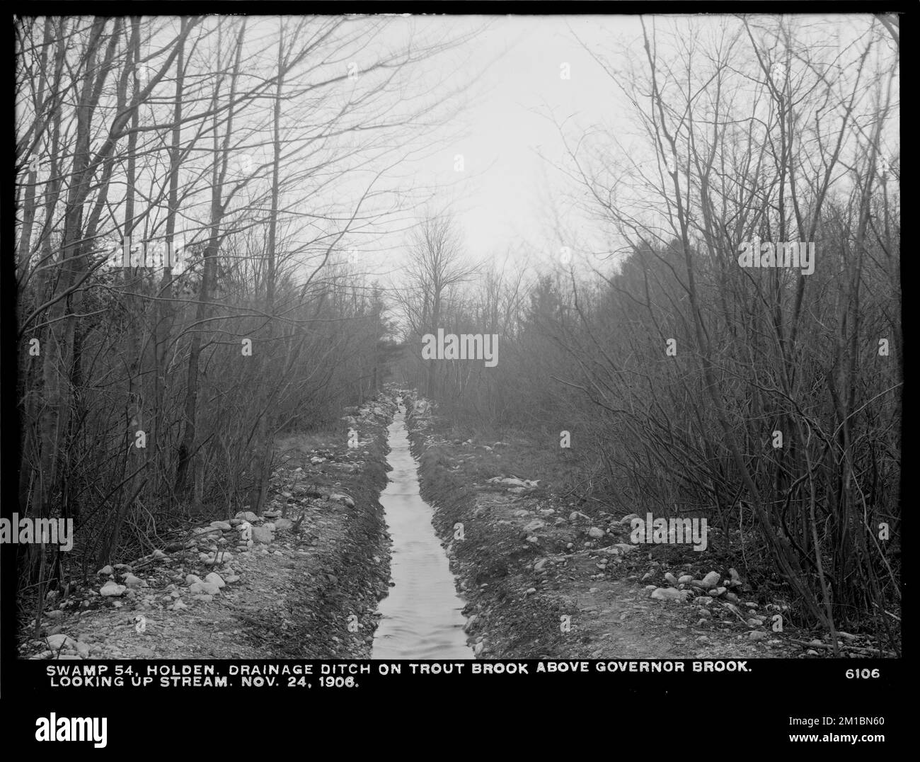 Wachusett Reservoir, Swamp No. 54, drainage ditch, on Trout Brook above