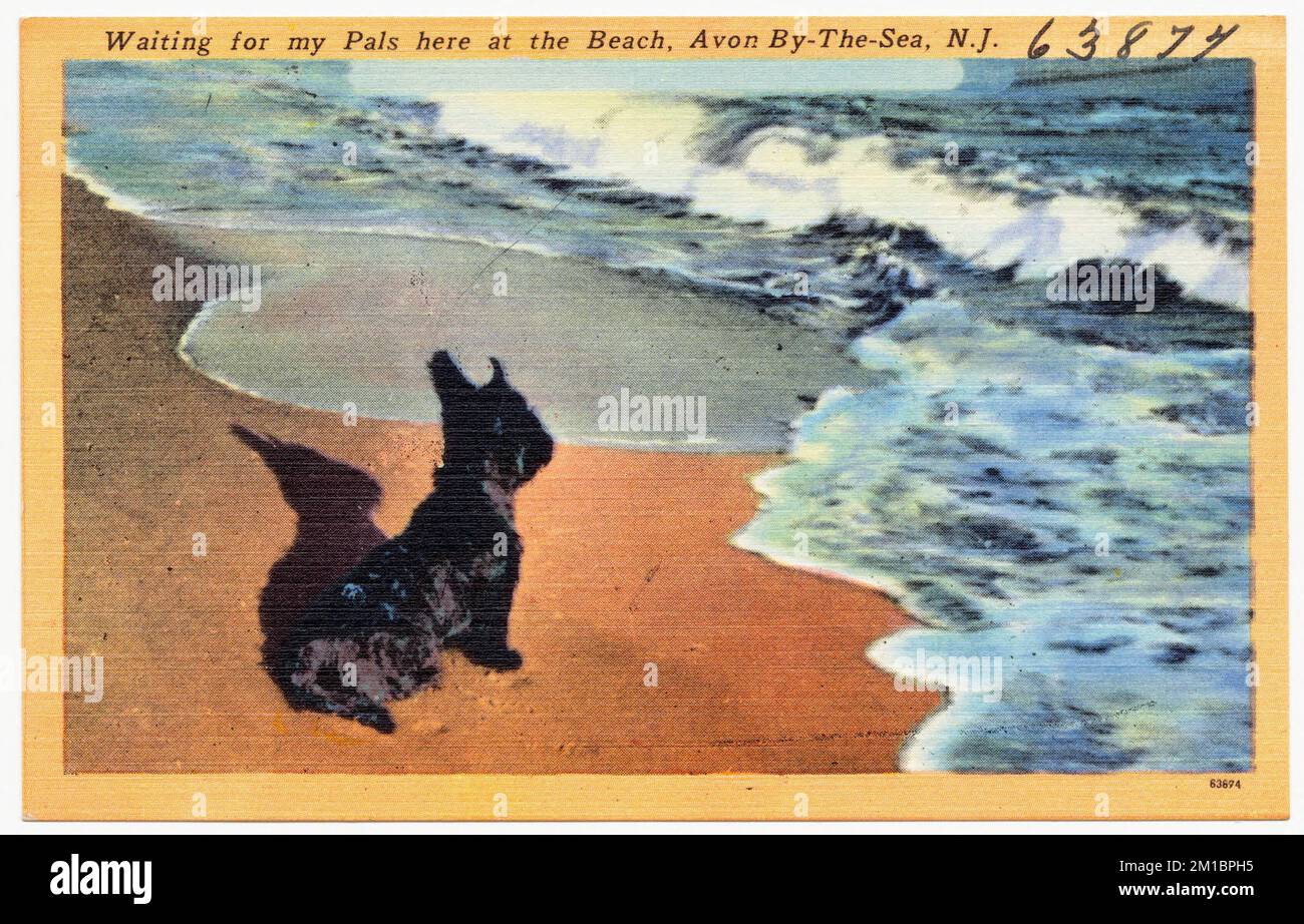 Waiting for my pals here at the beach, Avon-by-the-Sea, N.J. , Beaches, Tichnor Brothers Collection, postcards of the United States Stock Photo
