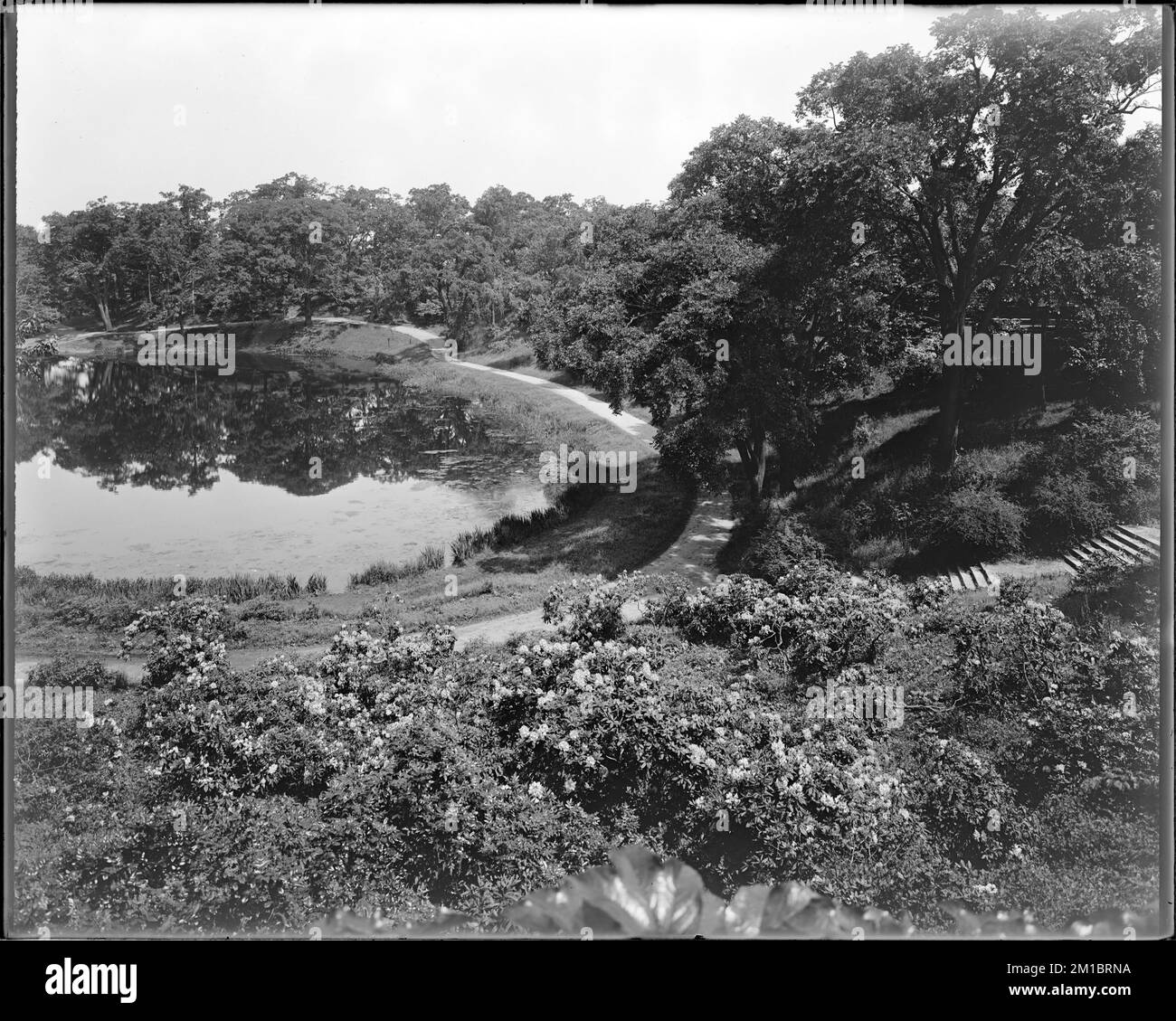 Wards pond Black and White Stock Photos & Images Alamy