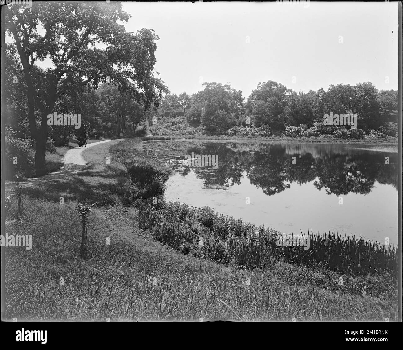 Wards pond Black and White Stock Photos & Images Alamy