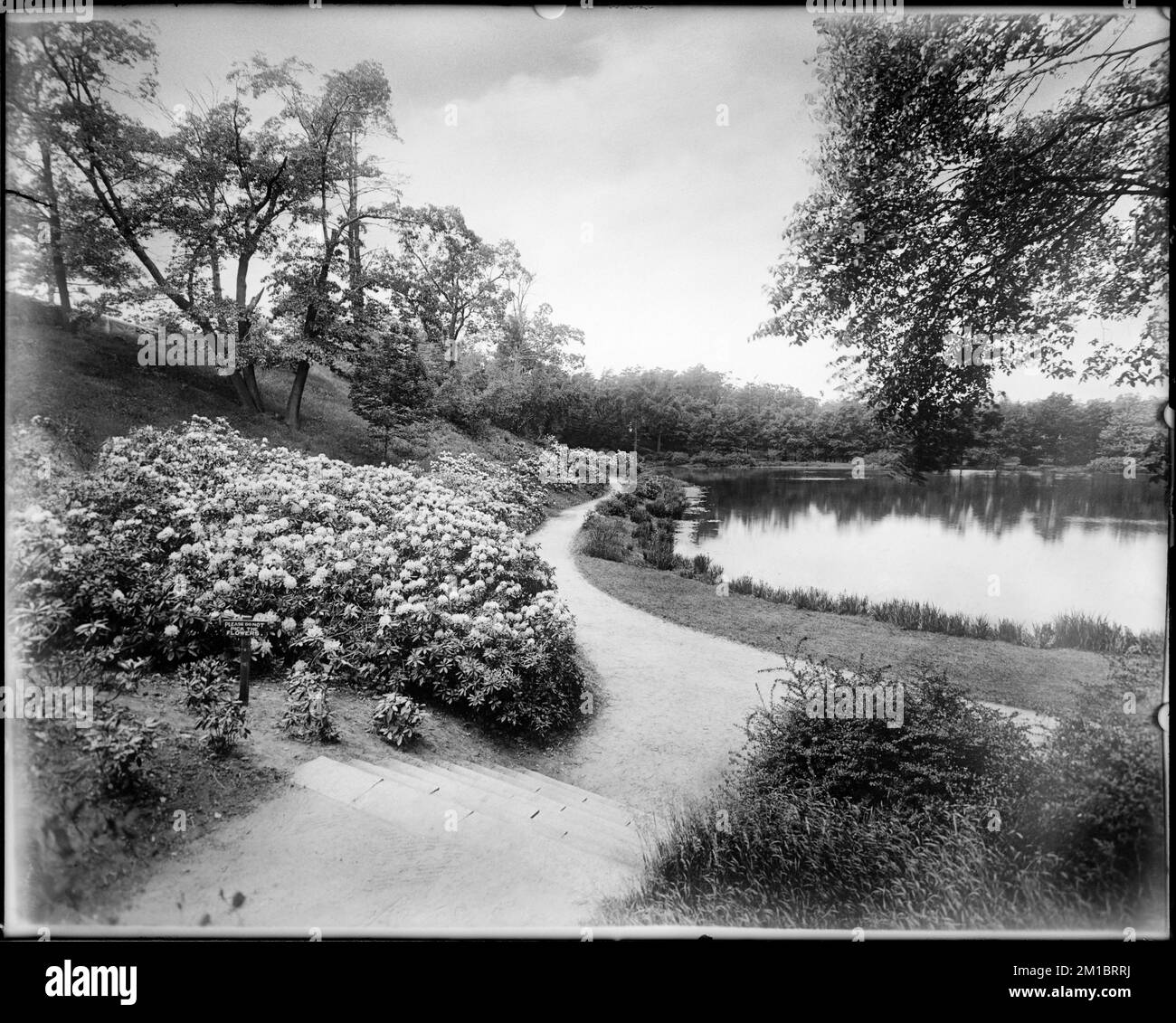 Wards pond Black and White Stock Photos & Images Alamy