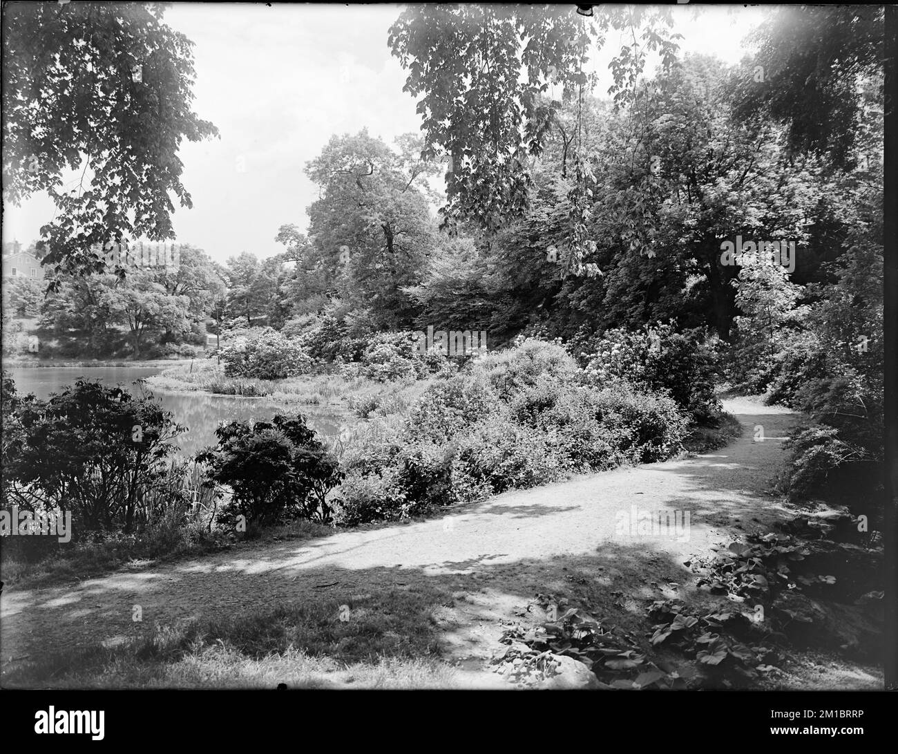 Wards pond Black and White Stock Photos & Images - Alamy