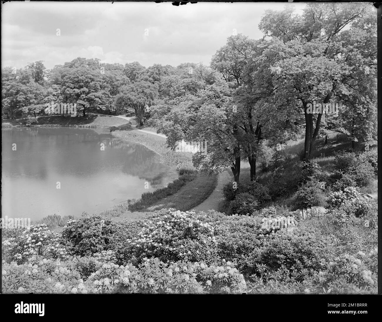 Wards pond Black and White Stock Photos & Images - Alamy