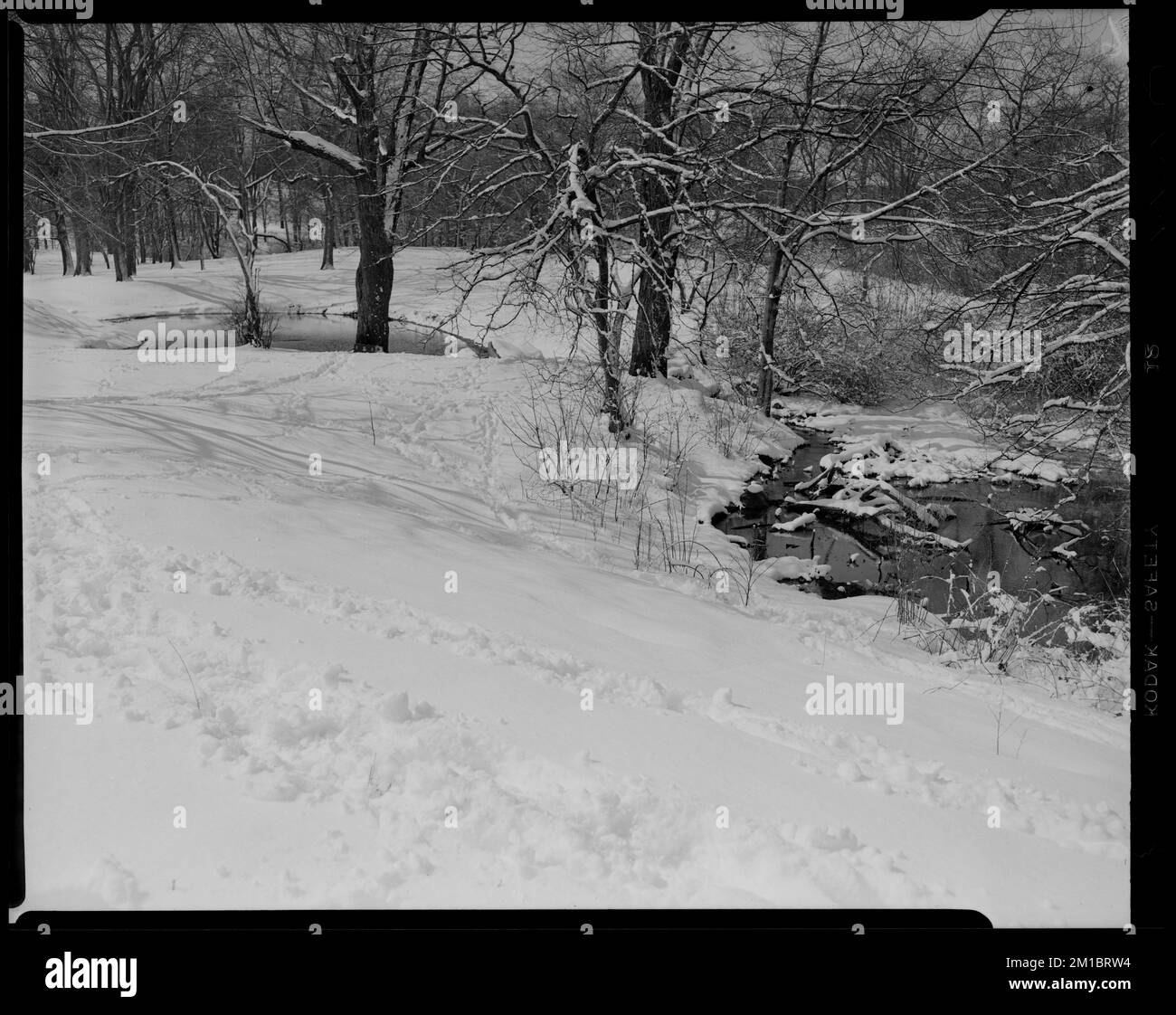 Ward's Pond and Ward's Brooks at Willow Spring Pond , Snow, Streams