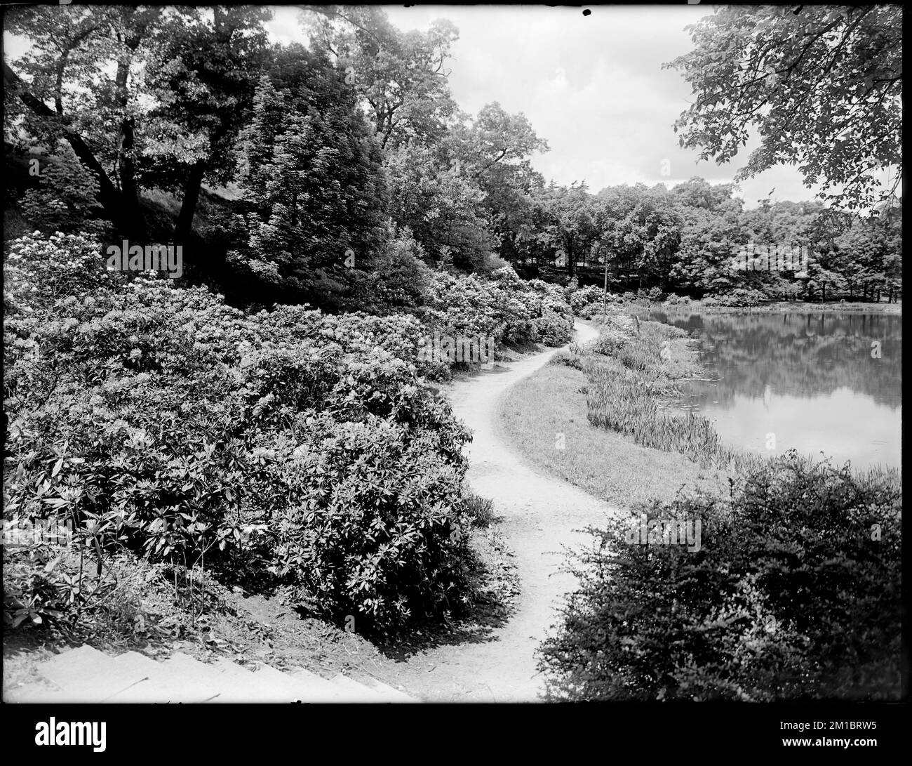 Wards pond Black and White Stock Photos & Images Alamy
