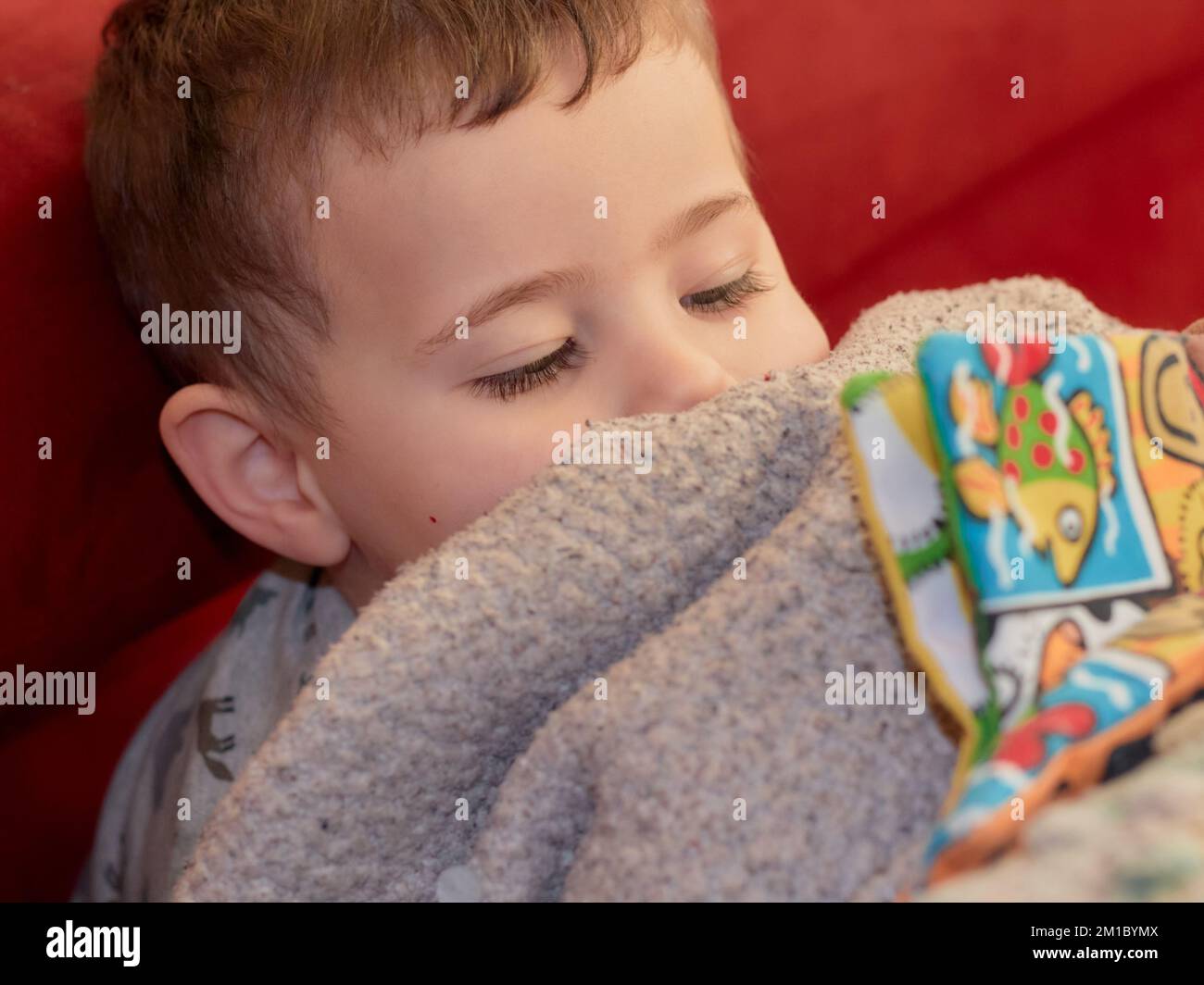 Young boy at home hi-res stock photography and images - Alamy