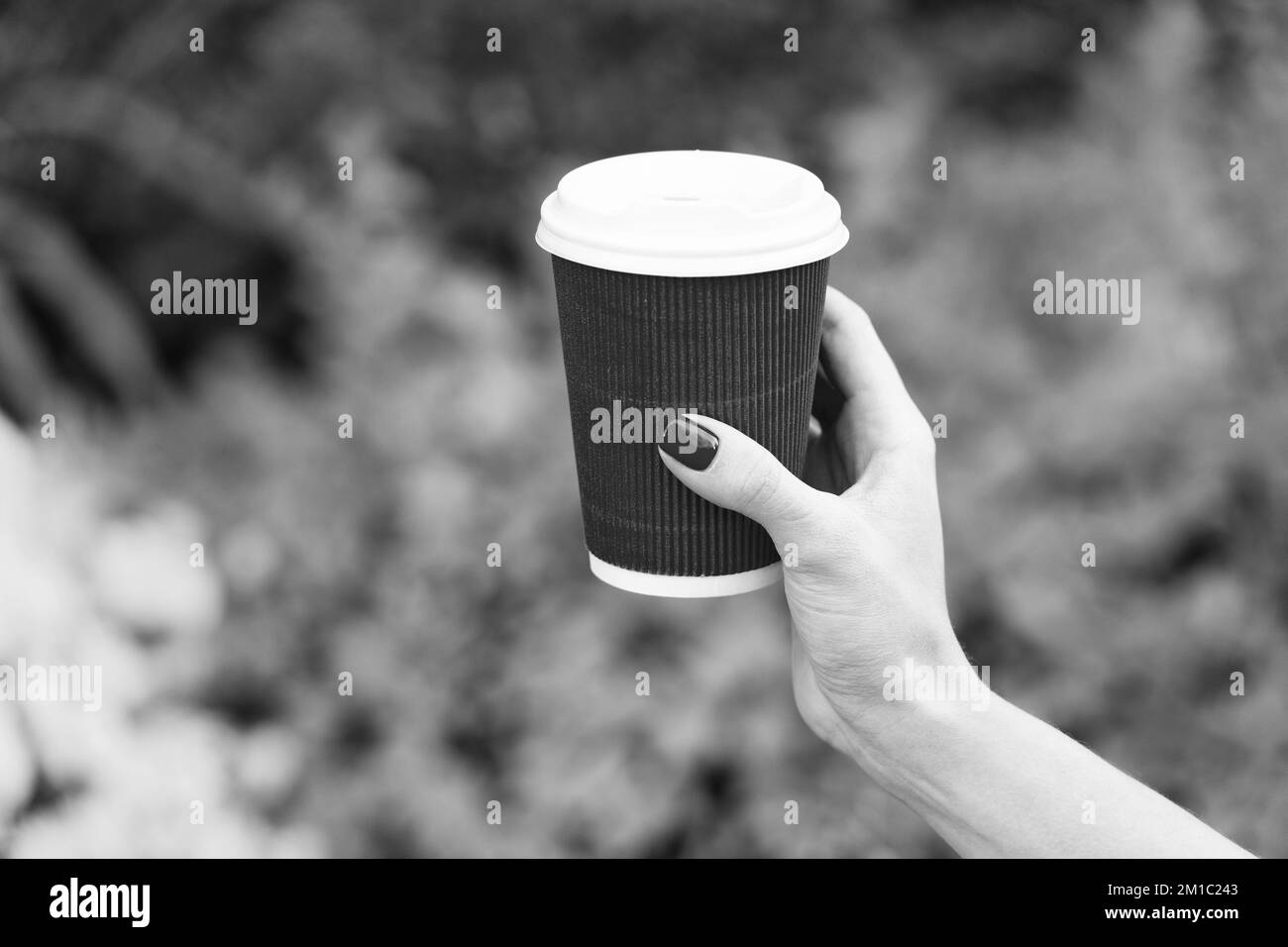 morning take away coffee. paper cup advertisement. coffee to go in