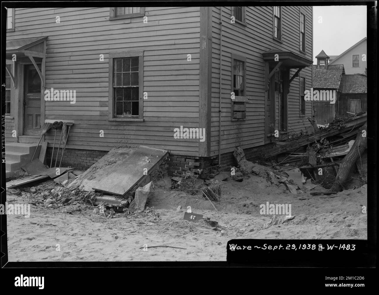 Real eagles Black and White Stock Photos & Images - Alamy