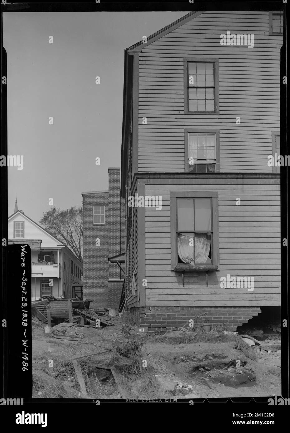 Real eagles Black and White Stock Photos & Images - Alamy