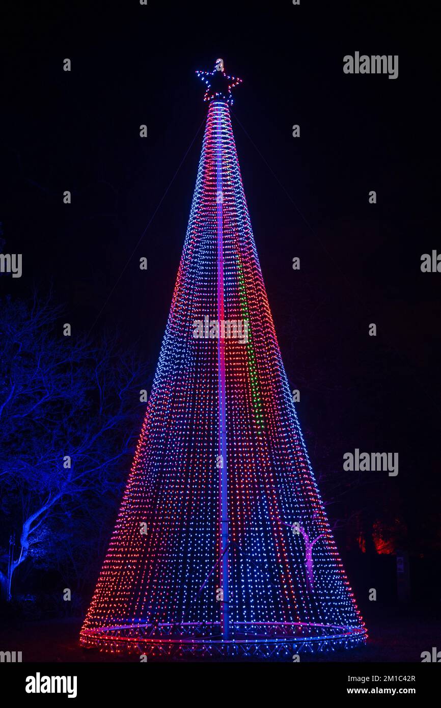 Red, White and Blue Christmas Tree Lights. Outdoor Christmas Digital