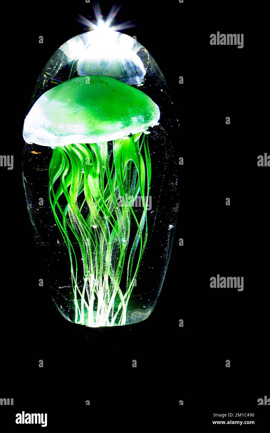 Dynasty Gallery since 1951, Glow in the dark Jellyfish in glass! Handcrafted from multiple layers of molten glass. Stock Photo