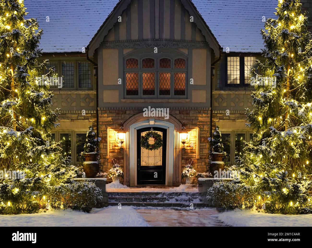 Front yard of house with decorative holiday lights on pine trees in winter Stock Photo