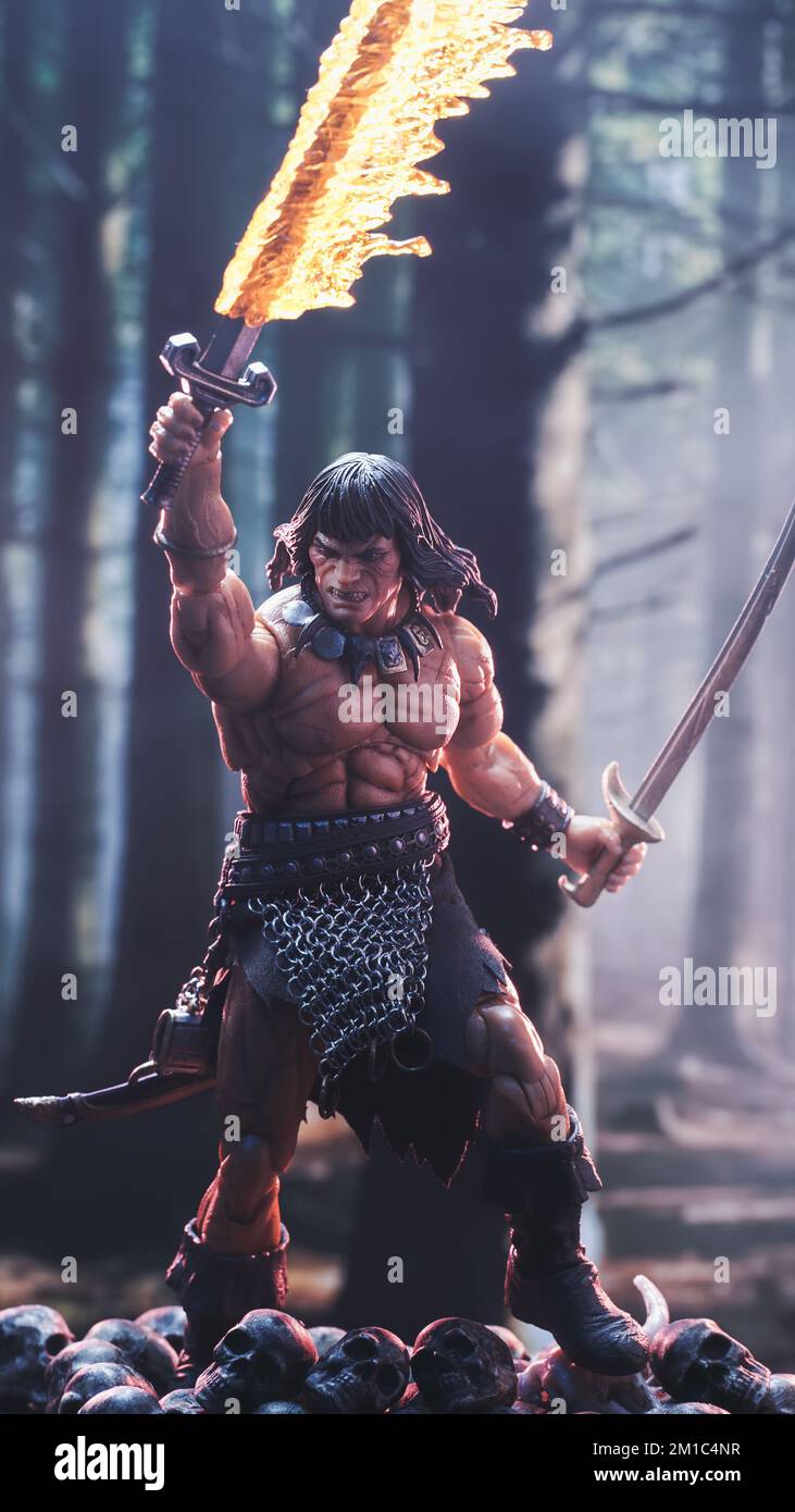 An action figure of Conan the Barbarian with a flaming sword on a pile of skulls in a forest Stock Photo