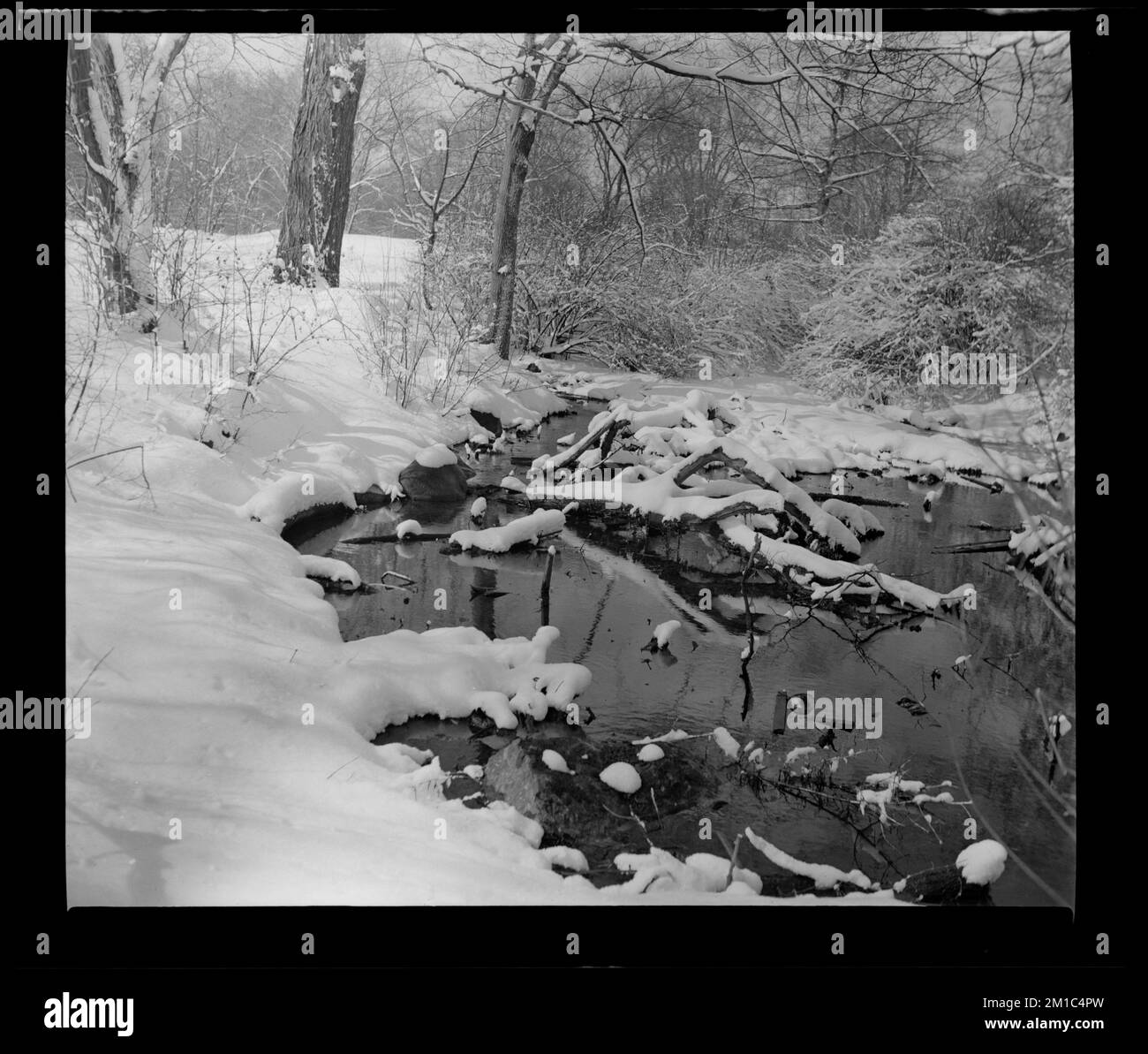 Tree lined ponds Black and White Stock Photos & Images - Alamy