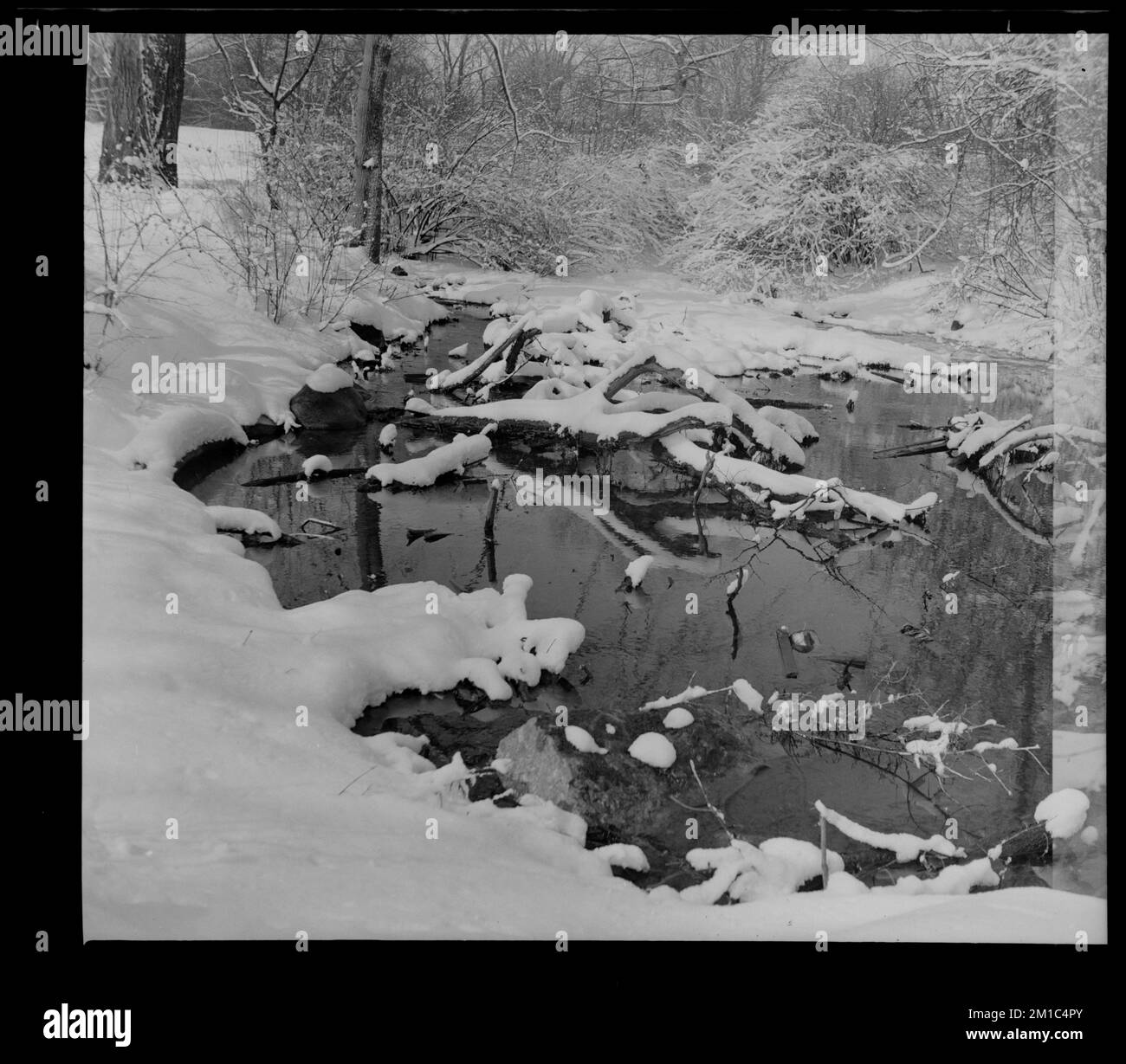 Willow Spring Pond , Snow, Lakes & ponds, Trees. Leon Abdalian