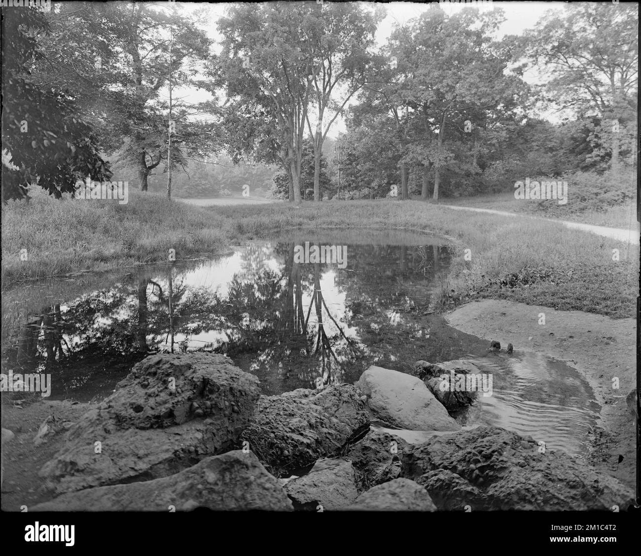 Habitats ponds Black and White Stock Photos & Images - Alamy