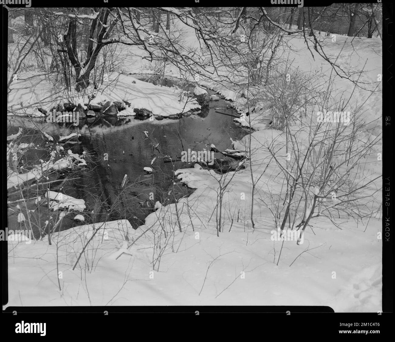 Willow Spring Pond, extra , Snow, Lakes & ponds. Leon Abdalian