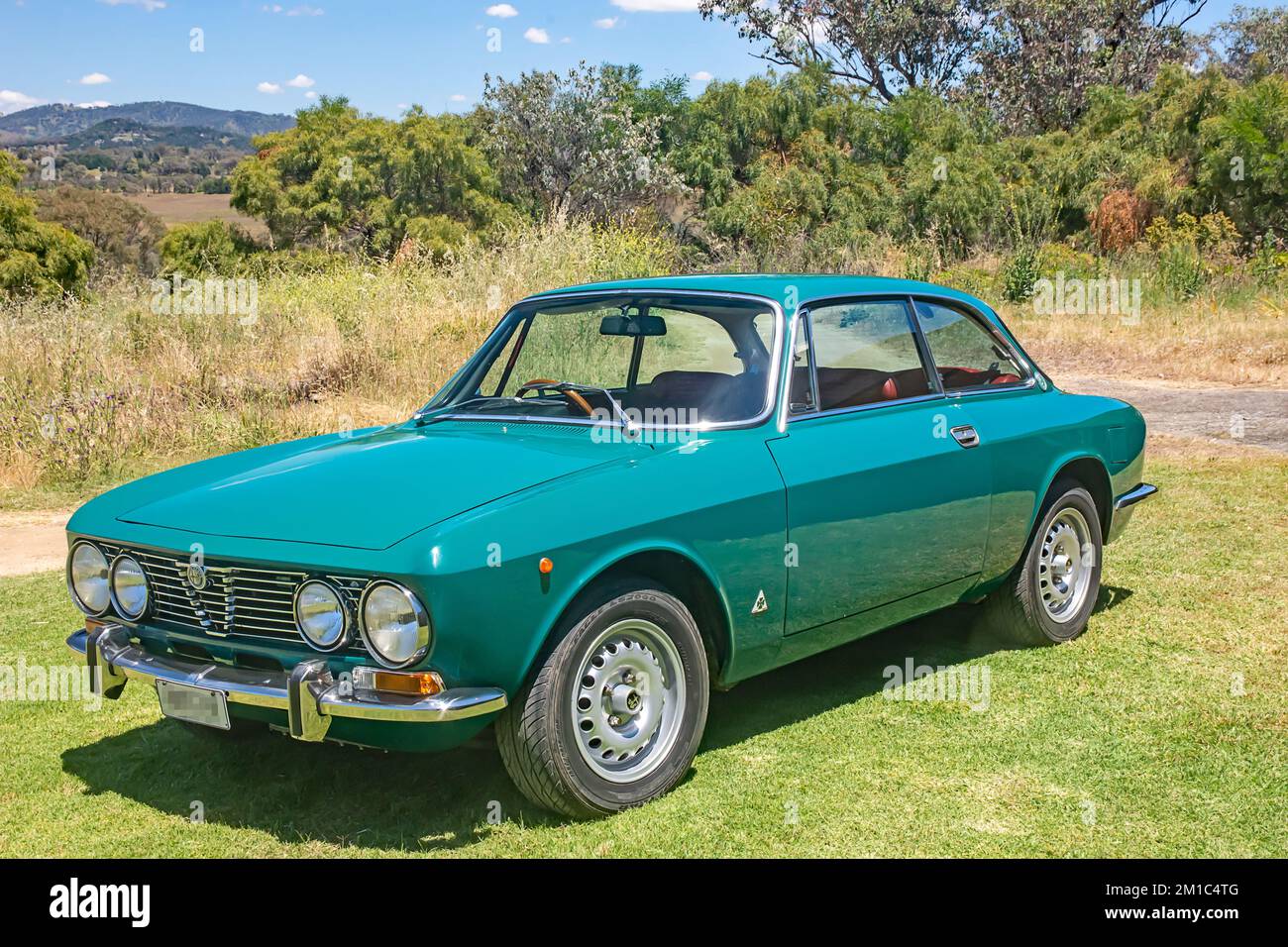 Gt 2000 alfa cheap