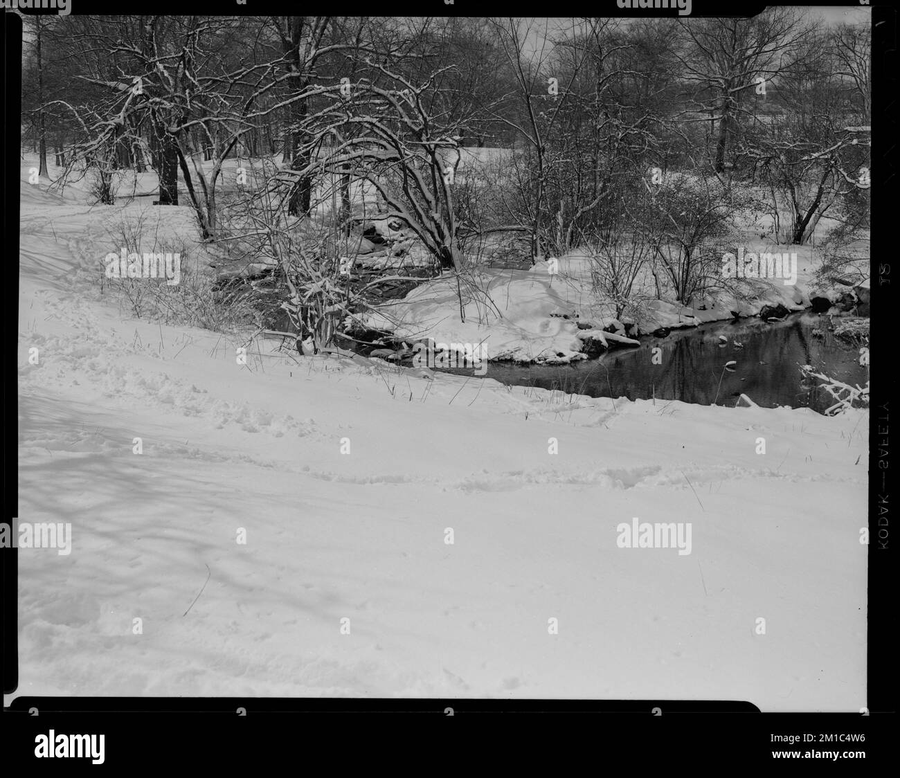 Willow Spring Pond, extra , Snow, Trees, Lakes & ponds. Leon Abdalian