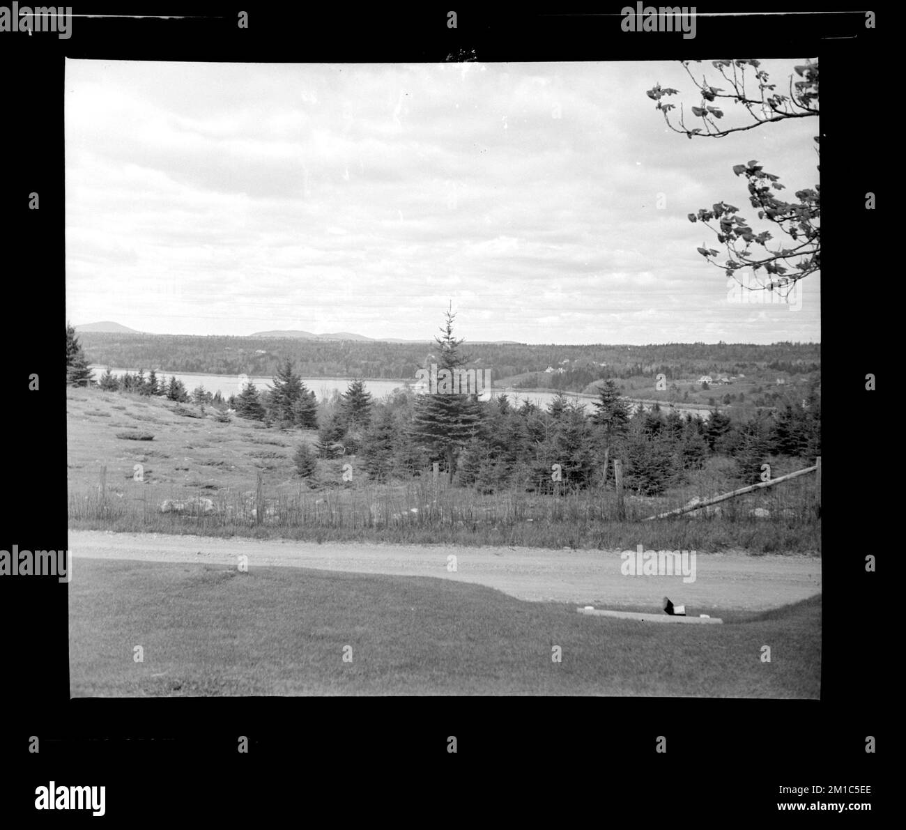 Winter Harbor, June 1941 , Trees, Roads, Bodies of water. Photographs