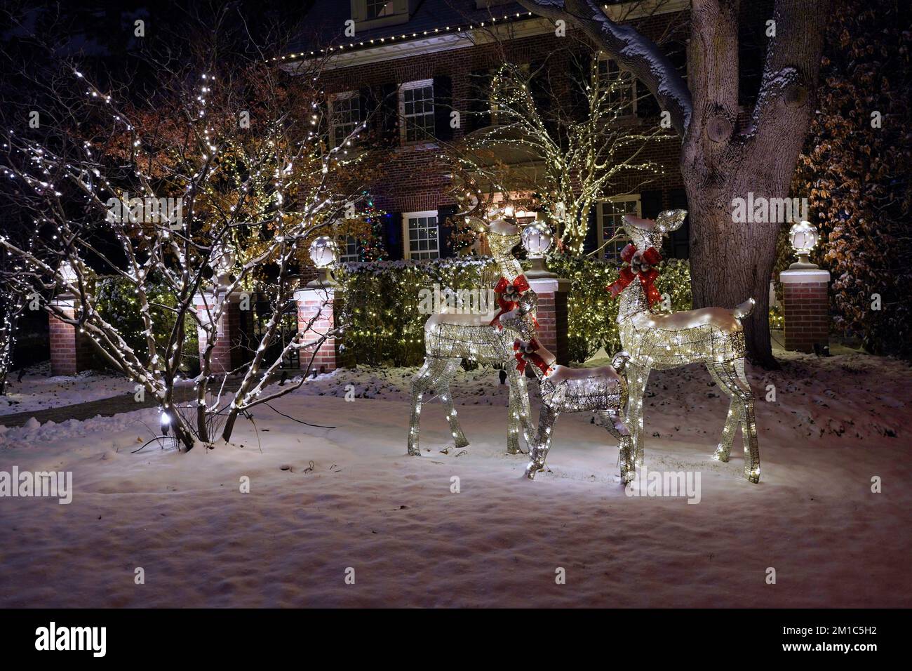 Illuminated reindeer shapes as Christmas decorations in front yard of