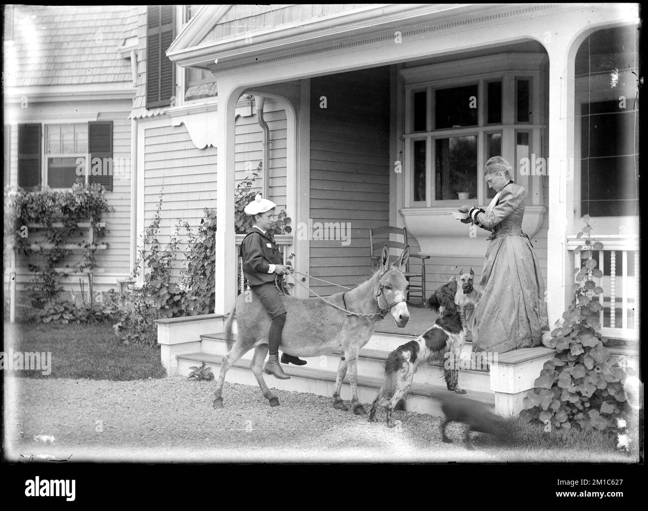 Woman feeding dog; boy on donkey at 'Redgate,' Marblehead, MA , Dogs