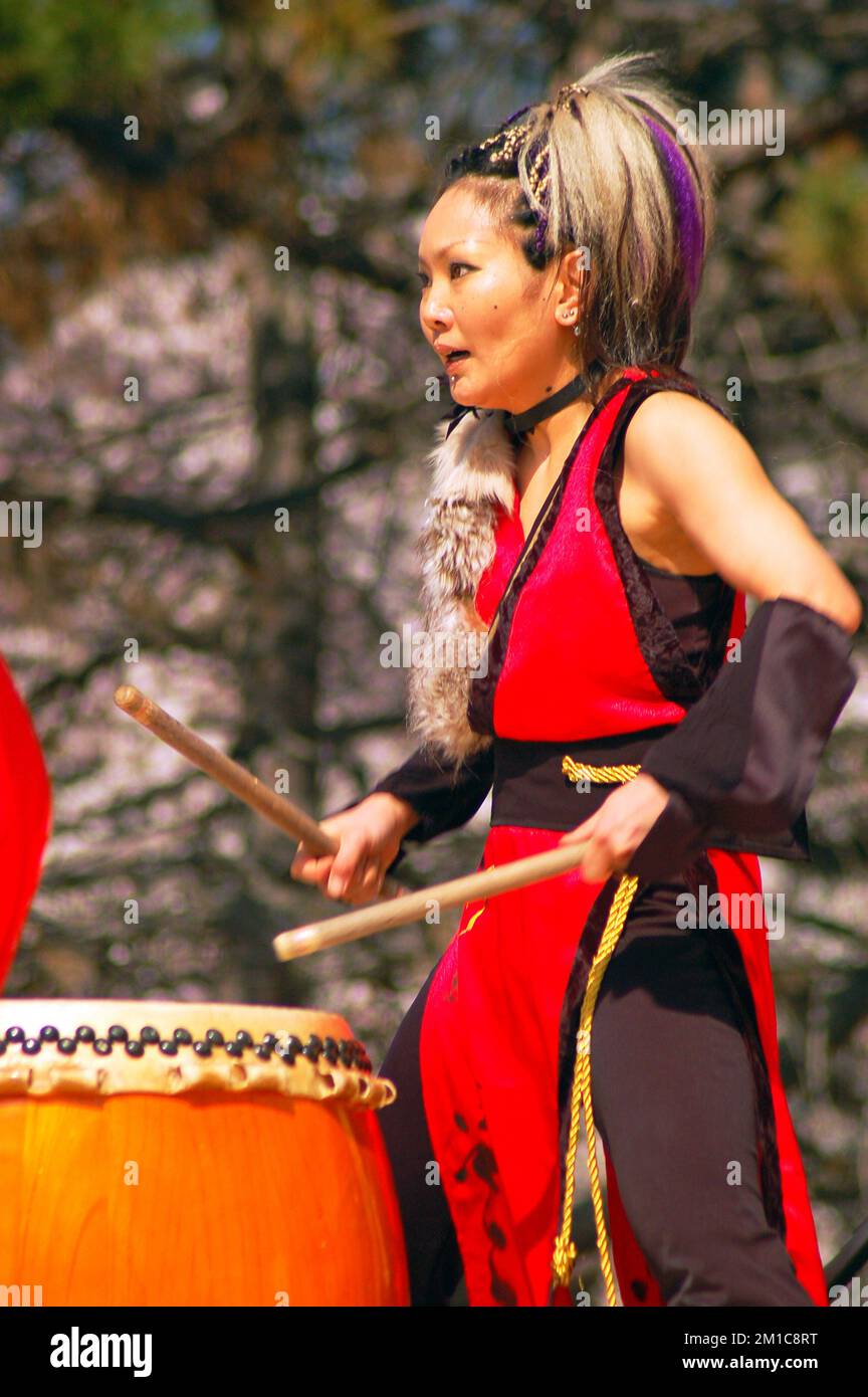 An avant guarde musician demonstrates Japanese Taiko drumming at a cherry blossom sakura festival in the spring Stock Photo