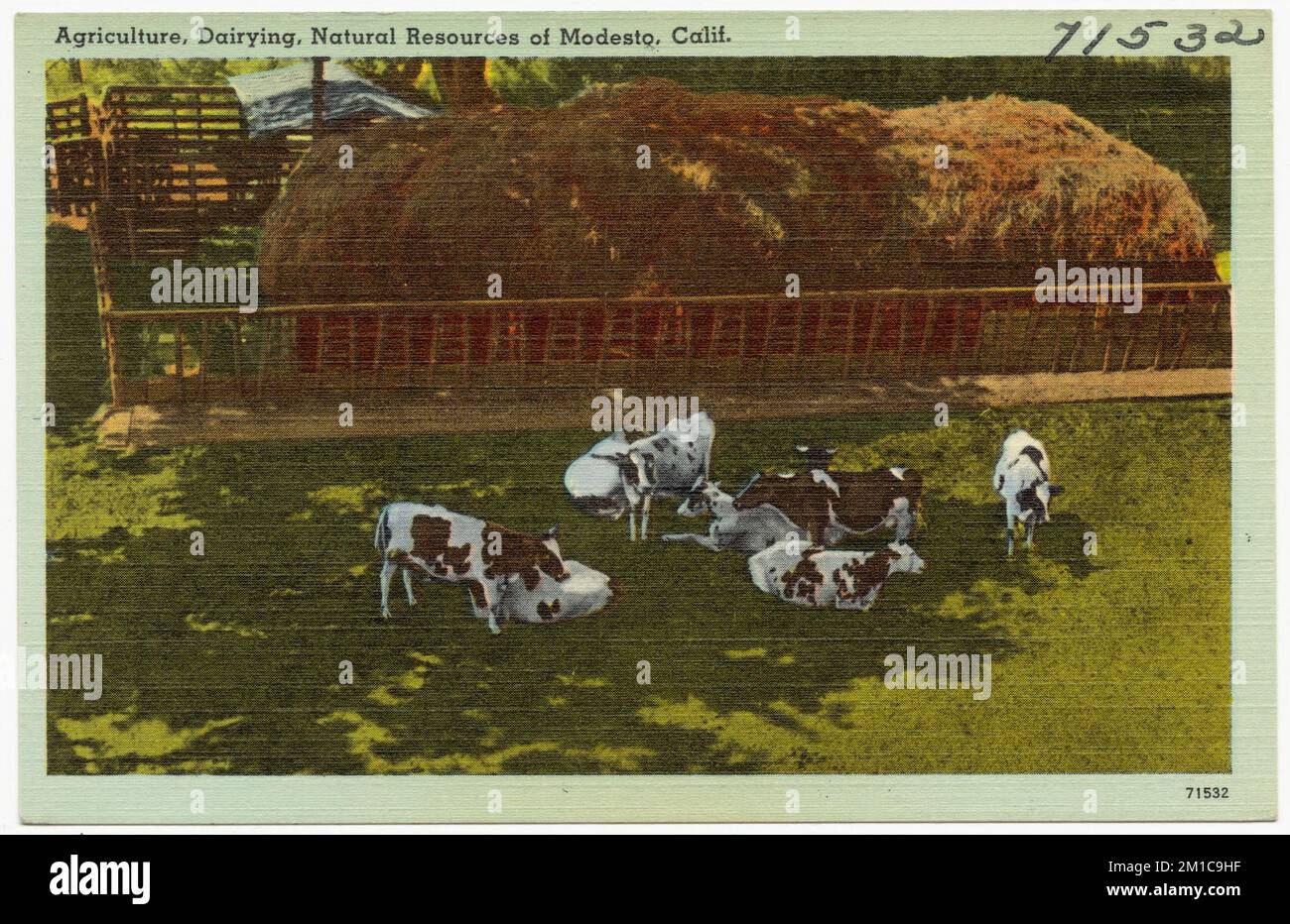 Agriculture, Dairying, Natural Resources of Modesto, Calif. , Tichnor Brothers Collection, postcards of the United States Stock Photo
