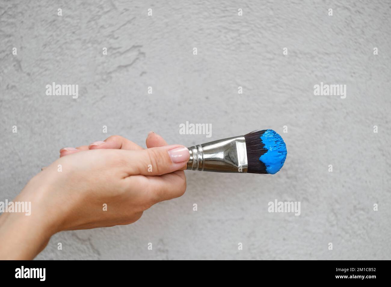 Paintbrush for acrylic and oil paints on grey wall background. Bid brush stained with paint. Copy space o Stock Photo