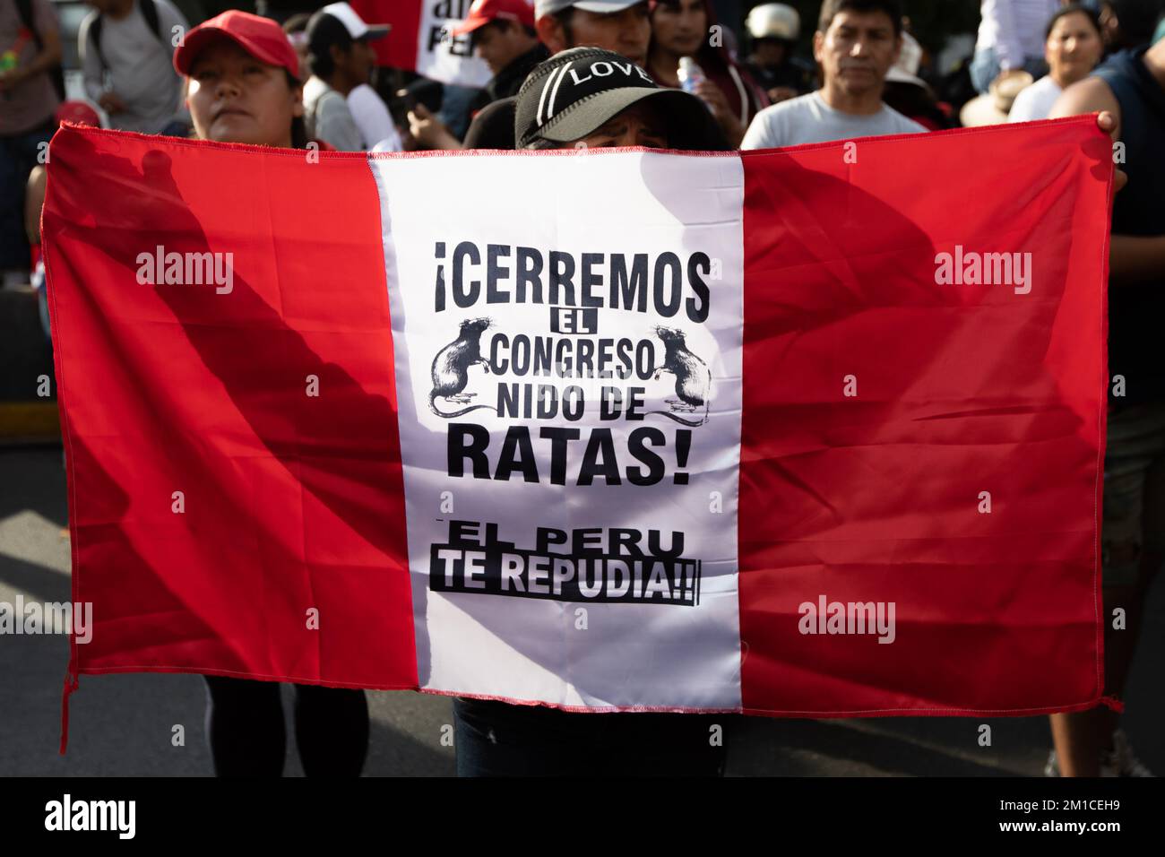 Lima, Peru. 11th Dec, 2022. A woman raises a banner that reads, 'Shut down Congress! A rat's nest!'. After the impeachment of the president in Peru, there were protests in several cities, including the capital Lima. Credit: Lucas Aguayo Araos/dpa/Alamy Live News Stock Photo