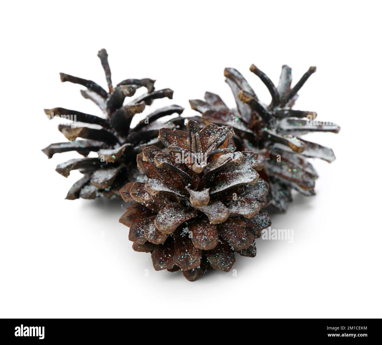 Pine cones isolated on white background Stock Photo - Alamy